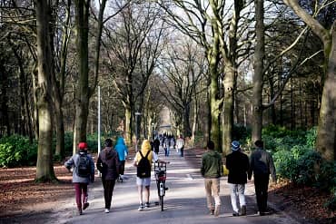 Minderjarige asielzoekers wandelen over een laan met bomen