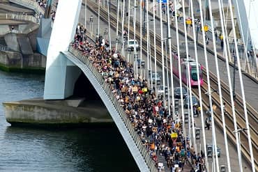 Erasmusbrug