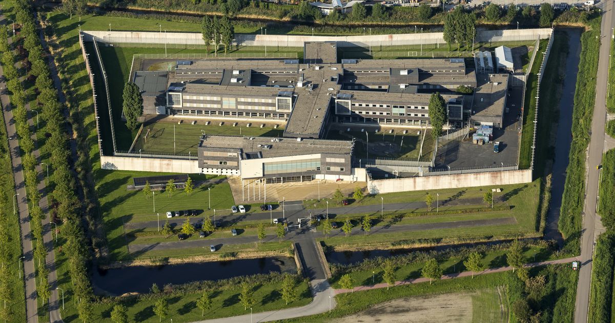 JJI Lelystad: sturing door stichting Pluryn en JJI schiet tekort
